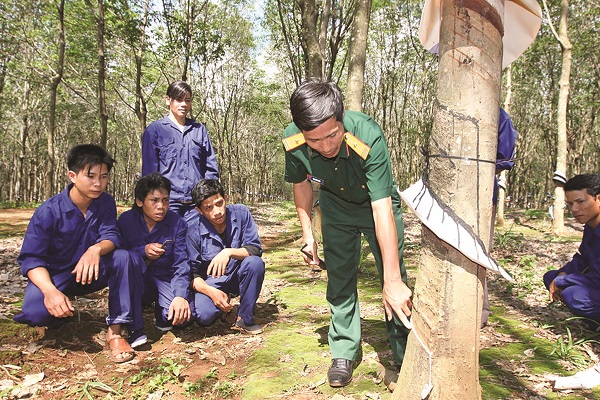 Nâng cao hiệu quả công tác Đảng, công tác chính trị tại các doanh nghiệp quân đội